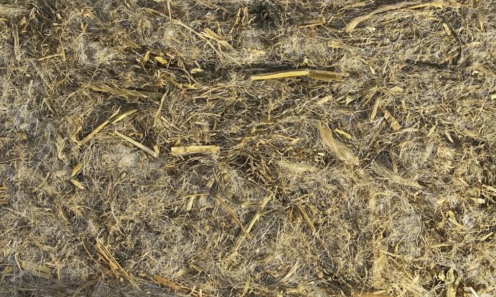 FIGUR 28. Isolering baseret på græs. 